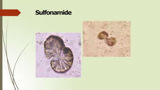 Sulfonamide
 