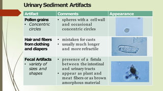 UrinarySediment Artifacts
Artifact Comments Appearance
Pollen grains
• Concentric
circles
• spheres with a cell wall
and occasional
concentric circles
Hairand fibers
fromclothing
and diapers
• mistaken for casts
• usually much longer
and more refractile
Fecal Artifacts
• variety of
sizes and
shapes
• presence of a fistula
between the intestinal
and urinary tracts
• appear as plant and
meat fibers or as brown
amorphous material
 