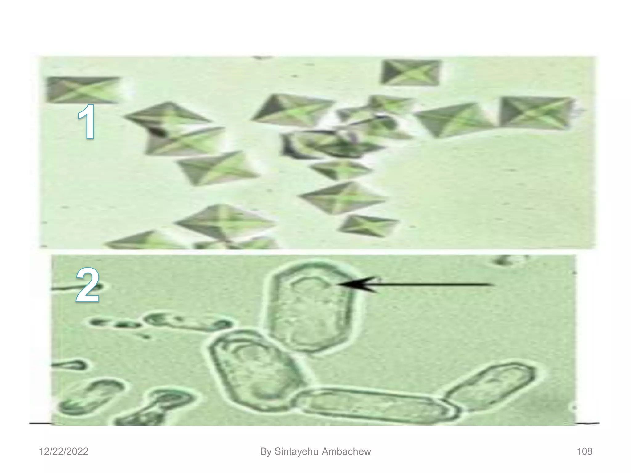 108
12/22/2022 By Sintayehu Ambachew
 