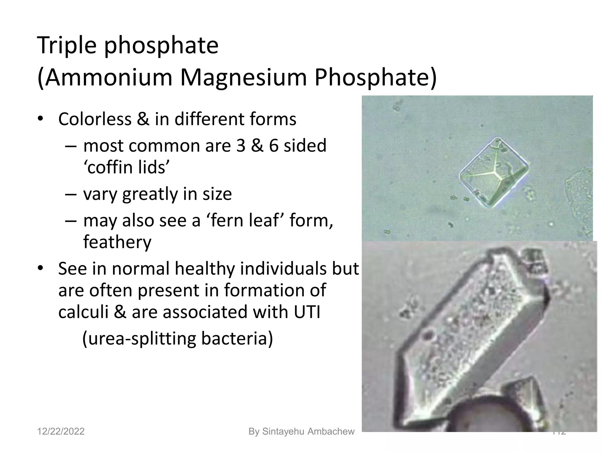 Triple phosphate
(Ammonium Magnesium Phosphate)
112
• Colorless & in different forms
– most common are 3 & 6 sided
‘coffin lids’
– vary greatly in size
– may also see a ‘fern leaf’ form,
feathery
• See in normal healthy individuals but
are often present in formation of
calculi & are associated with UTI
(urea-splitting bacteria)
12/22/2022 By Sintayehu Ambachew
 