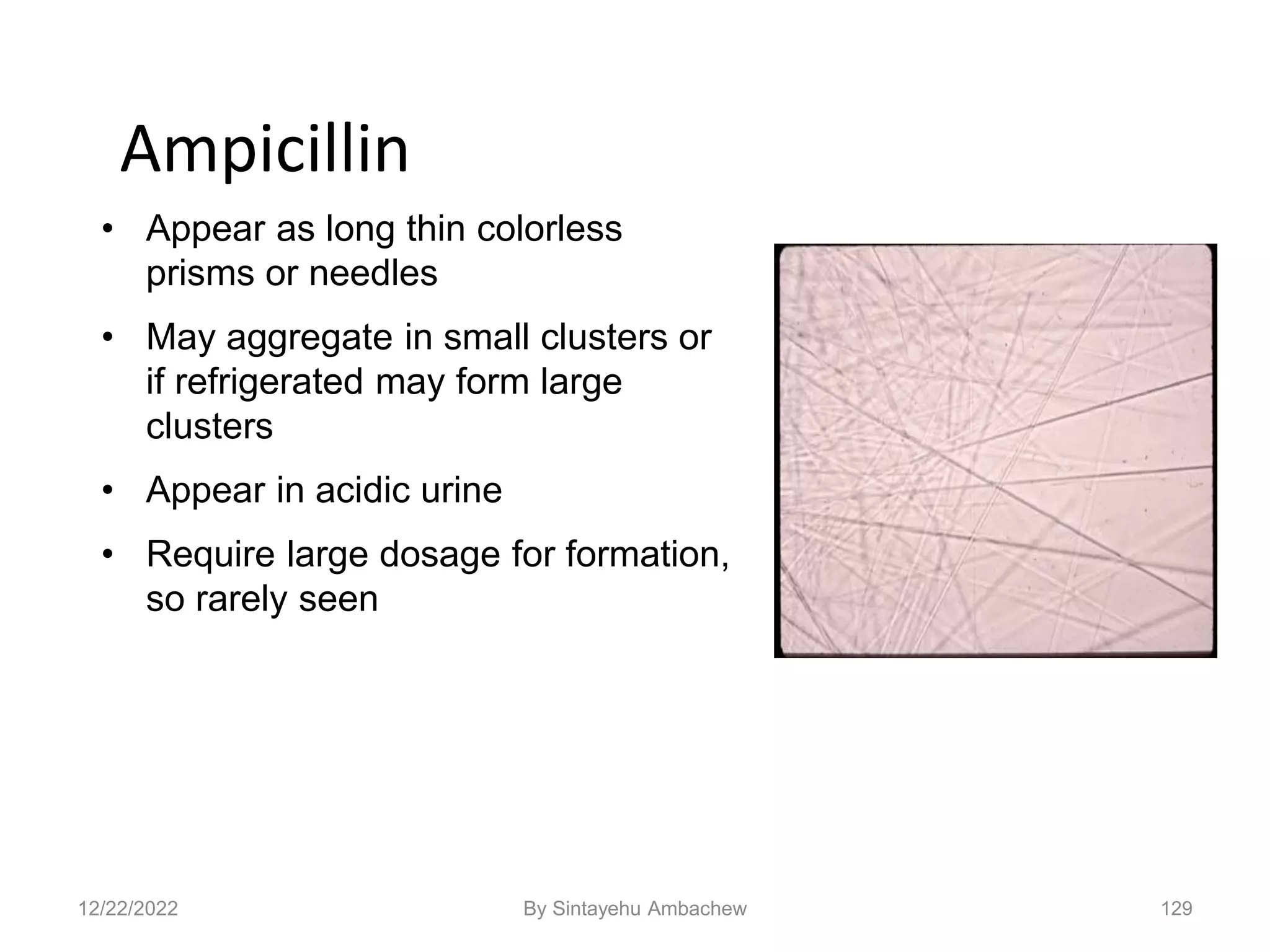 129
Ampicillin
• Appear as long thin colorless
prisms or needles
• May aggregate in small clusters or
if refrigerated may form large
clusters
• Appear in acidic urine
• Require large dosage for formation,
so rarely seen
12/22/2022 By Sintayehu Ambachew
 