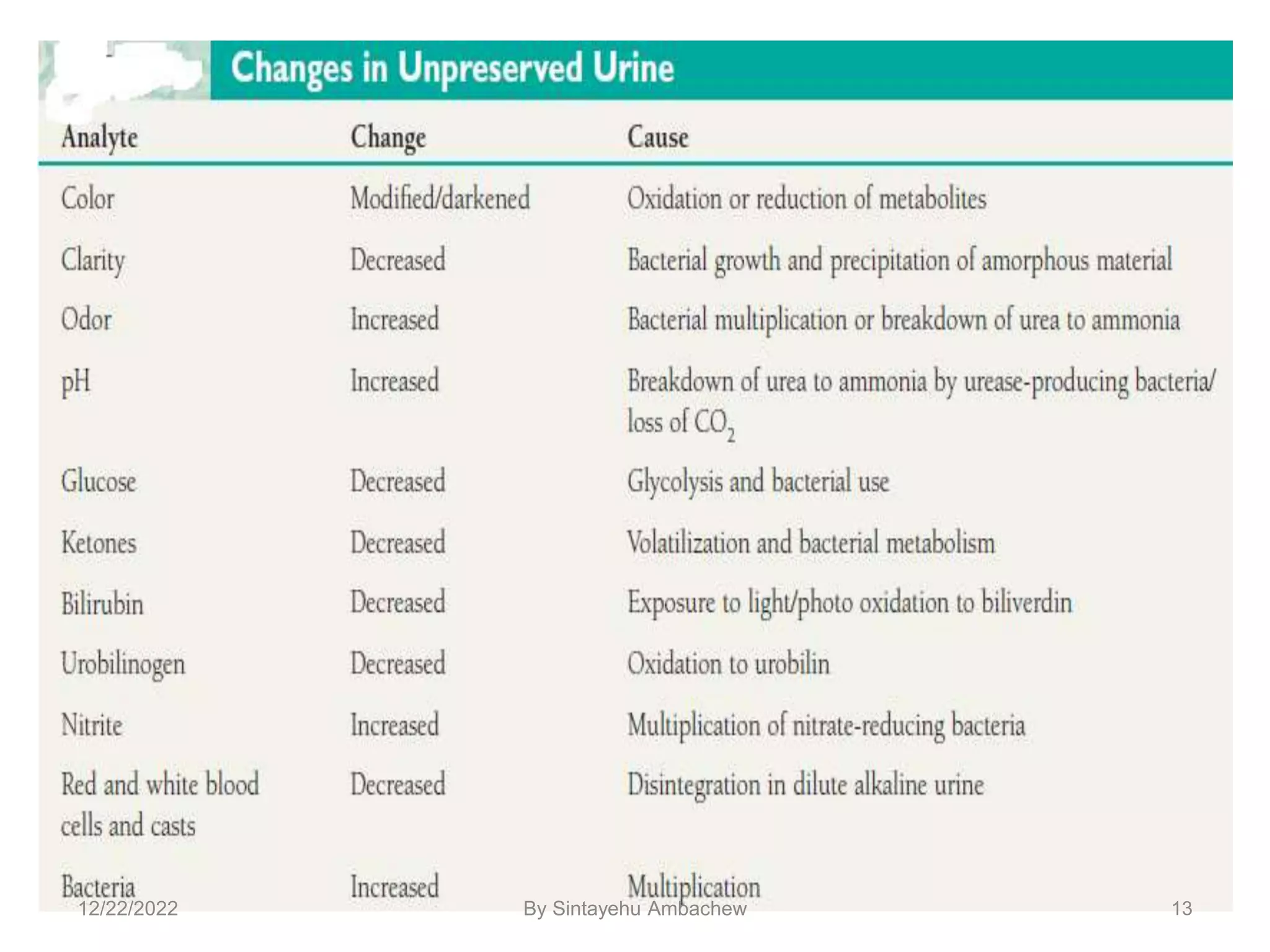 13
12/22/2022 By Sintayehu Ambachew
 