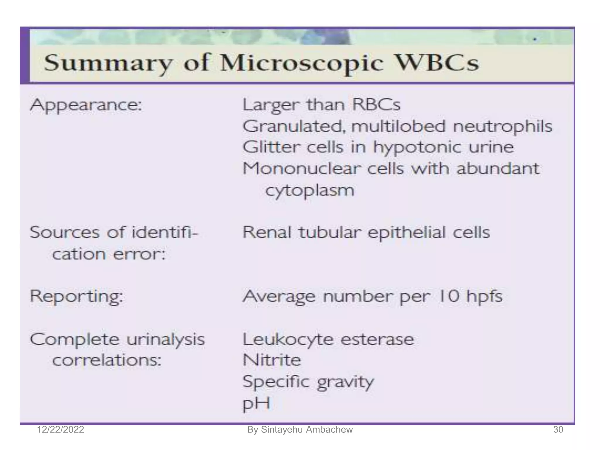 30
12/22/2022 By Sintayehu Ambachew
 