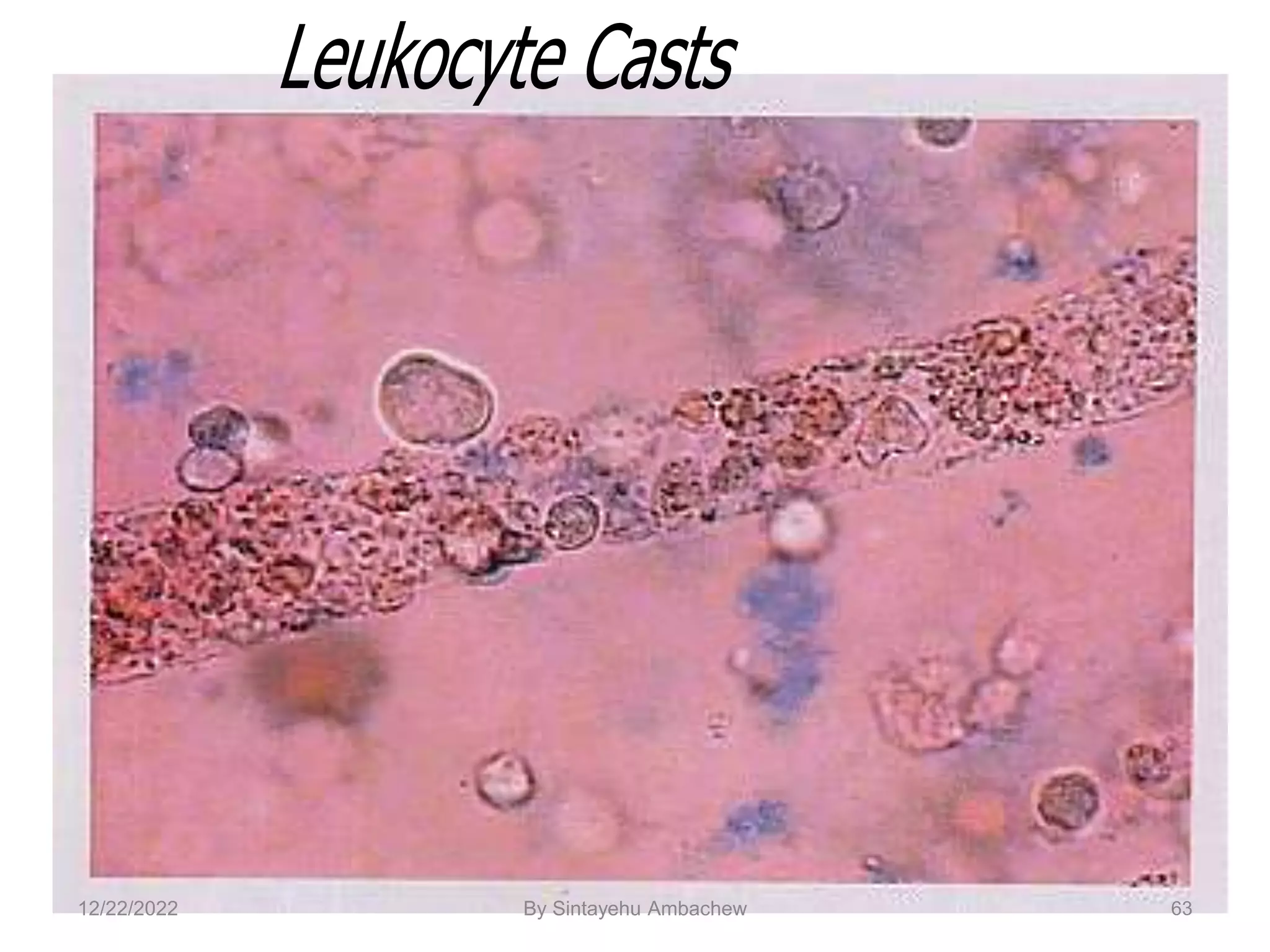 63
12/22/2022 By Sintayehu Ambachew
 