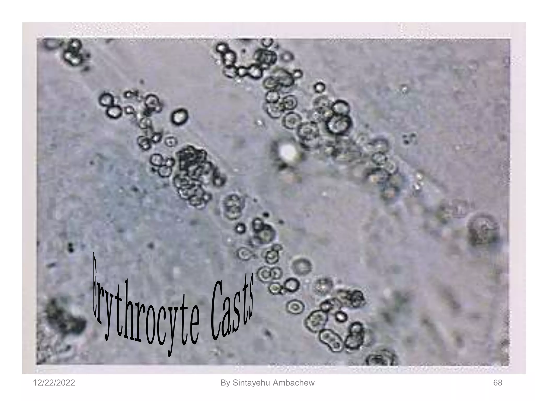 68
12/22/2022 By Sintayehu Ambachew
 
