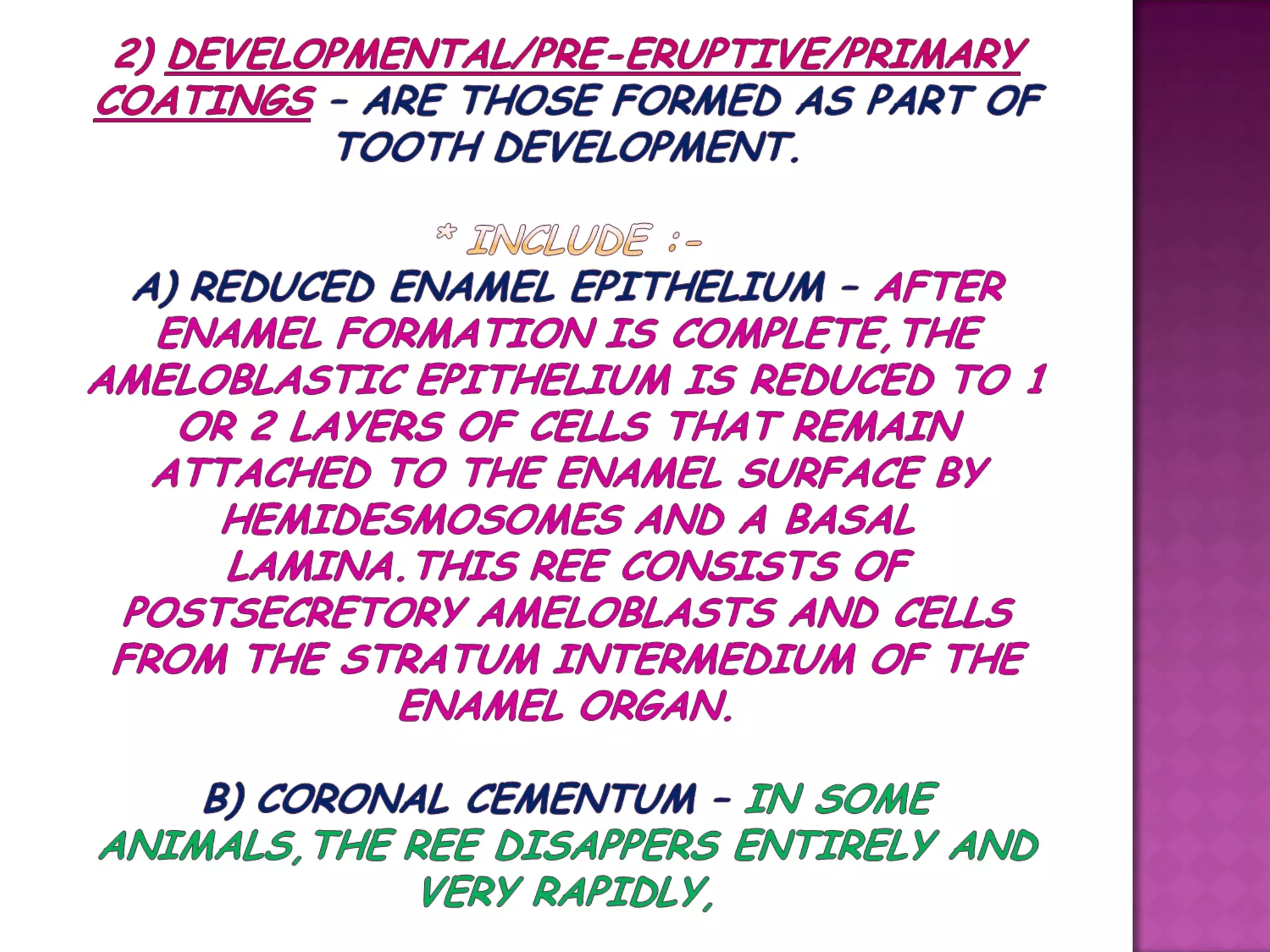 Microscopic features of gingiva
