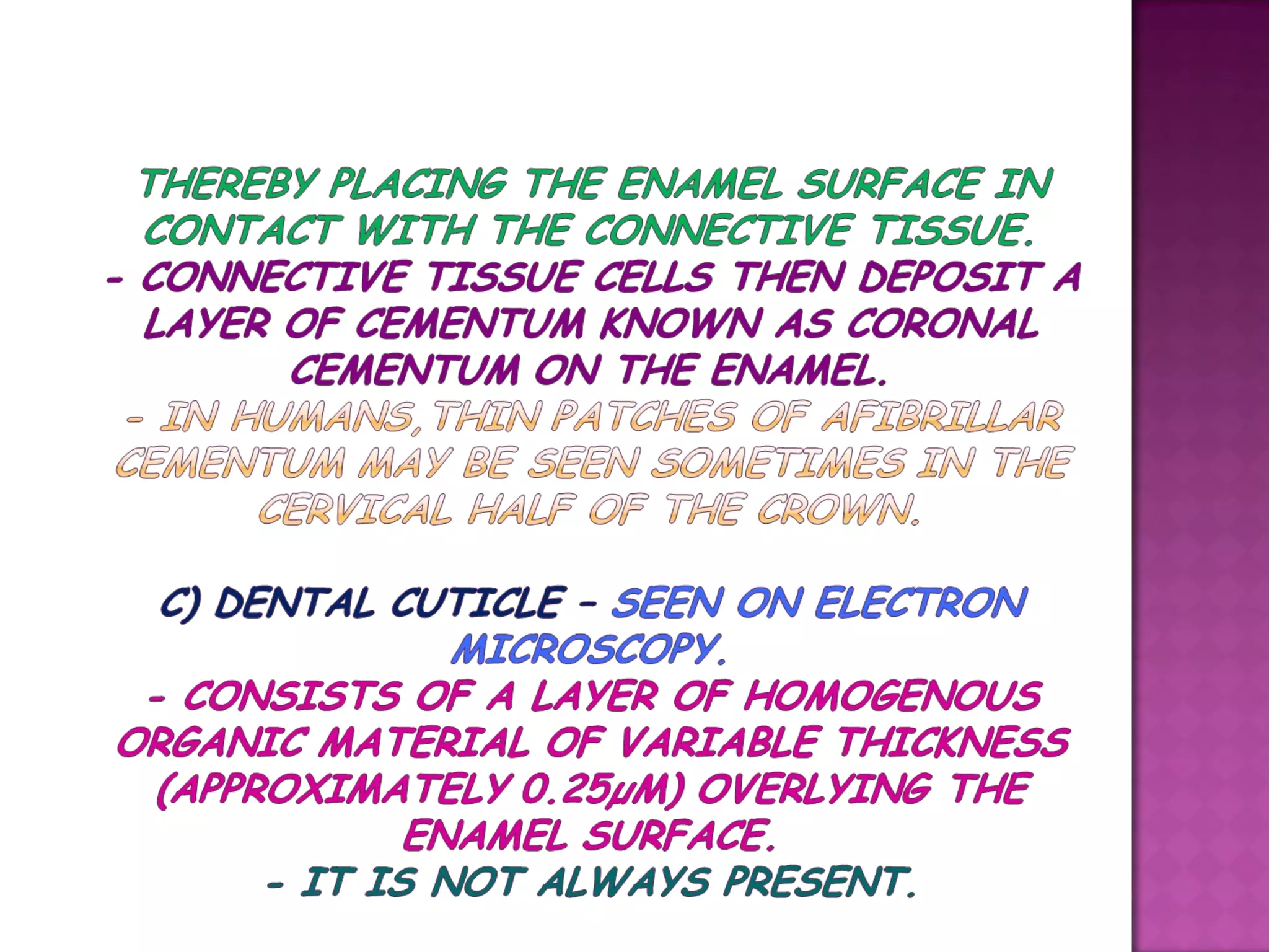 Microscopic features of gingiva