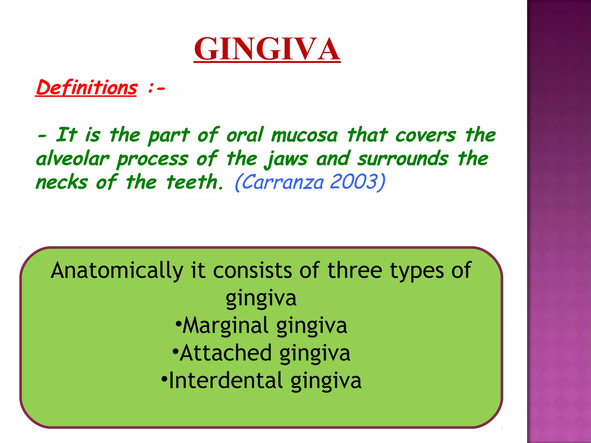 Definitions :-
- It is the part of oral mucosa that covers the
alveolar process of the jaws and surrounds the
necks of the teeth. (Carranza 2003)
Anatomically it consists of three types of
gingiva
•Marginal gingiva
•Attached gingiva
•Interdental gingiva
GINGIVA