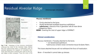 MICROSCOPIC & MACROSCOPIC ANATOMY OF MAXILLA AND MANDIBLE.pptx