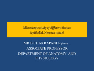 Microscopic study of different tissues
(epithelial, Nervous tissue)
MR.B.CHAKRAPANI M.pharm…
ASSOCIATE PROFESSOR
DEPARTMENT OF ANATOMY AND
PHYSIOLOGY
 
