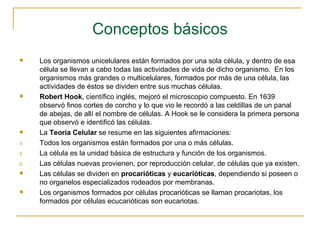 Conceptos básicos Los organismos unicelulares están formados por una sola célula, y dentro de esa célula se llevan a cabo todas las actividades de vida de dicho organismo.  En los organismos más grandes o multicelulares, formados por más de una célula, las actividades de éstos se dividen entre sus muchas células. Robert Hook , científico inglés, mejoró el microscopio compuesto. En 1639 observó finos cortes de corcho y lo que vio le recordó a las celdillas de un panal de abejas, de allí el nombre de células. A Hook se le considera la primera persona que observó e identificó las células. La  Teoría Celular  se resume en las siguientes afirmaciones: Todos los organismos están formados por una o más células. La célula es la unidad básica de estructura y función de los organismos. Las células nuevas provienen, por reproducción celular, de células que ya existen. Las células se dividen en  procarióticas  y  eucarióticas , dependiendo si poseen o no organelos especializados rodeados por membranas. Los organismos formados por células procarióticas se llaman procariotas, los formados por células ecucarióticas son eucariotas. 