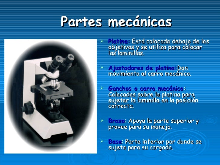 Microscopio