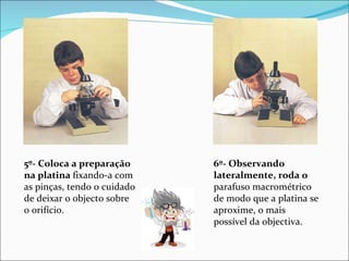 5º- Coloca a preparação na platina  fixando-a com as pinças, tendo o cuidado de deixar o objecto sobre o orifício. 6º- Observando lateralmente, roda o parafuso macrométrico de modo que a platina se aproxime, o mais possível da objectiva. 