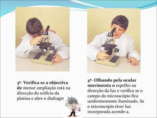 3º- Verifica se a objectiva de  menor ampliação está na direcção do orifício da platina e abre o diafragma. 4º- Olhando pela ocular movimenta o  espelho na direcção da luz e verifica se o campo do microscópio fica uniformemente iluminado. Se o microscópio tiver luz incorporada acende-a. 