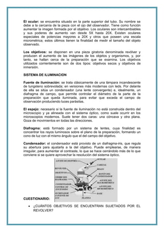 El ocular: se encuentra situado en la parte superior del tubo. Su nombre se
debe a la cercanía de la pieza con el ojo del observador. Tiene como función
aumentar la imagen formada por el objetivo. Los oculares son intercambiables
y sus poderes de aumento van desde 5X hasta 20X. Existen oculares
especiales de potencias mayores a 20X y otros que poseen una escala
micrométrica; estos últimos tienen la finalidad de medir el tamaño del objeto
observado.
Los objetivos: se disponen en una pieza giratoria denominada revólver y
producen el aumento de las imágenes de los objetos y organismos, y, por
tanto, se hallan cerca de la preparación que se examina. Los objetivos
utilizados corrientemente son de dos tipos: objetivos secos y objetivos de
inmersión.
SISTEMA DE ILUMINACION
Fuente de iluminación: se trata clásicamente de una lámpara incandescente
de tungsteno sobrevolada; en versiones más modernas con leds. Por delante
de ella se sitúa un condensador (una lente convergente) e, idealmente, un
diafragma de campo, que permite controlar el diámetro de la parte de la
preparación que queda iluminada, para evitar que exceda el campo de
observación produciendo luces parásitas.
El espejo: necesario si la fuente de iluminación no está construida dentro del
microscopio y ya alineada con el sistema óptico, como suele ocurrir en los
microscopios modernos. Suele tener dos caras: una cóncava y otra plana.
Goza de movimientos en todas las direcciones.
Diafragma: está formado por un sistema de lentes, cuya finalidad es
concentrar los rayos luminosos sobre el plano de la preparación, formando un
cono de luz con el mismo ángulo que el del campo del objetivo.
Condensador: el condensador está provisto de un diafragma-iris, que regula
su abertura para ajustarla a la del objetivo. Puede emplearse, de manera
irregular, para aumentar el contraste, lo que se hace cerrándolo más de lo que
conviene si se quiere aprovechar la resolución del sistema óptico.

CUESTIONARIO:
¿CUÁNTOS OBJETIVOS SE ENCUENTRAN SUJETADOS POR EL
REVOLVER?

 