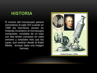 HISTORIA
El invento del microscopio parece
remontarse al siglo XVI cuando en
1590 los hermanos Jansen en
Holanda inventaron el microscopio
compuesto, constaba de un tubo
con dos lentes convexas en cada
extremo y ampliaba más que las
lupas, que existían desde la Edad
Media, aunque daba una imagen
borrosa.

 