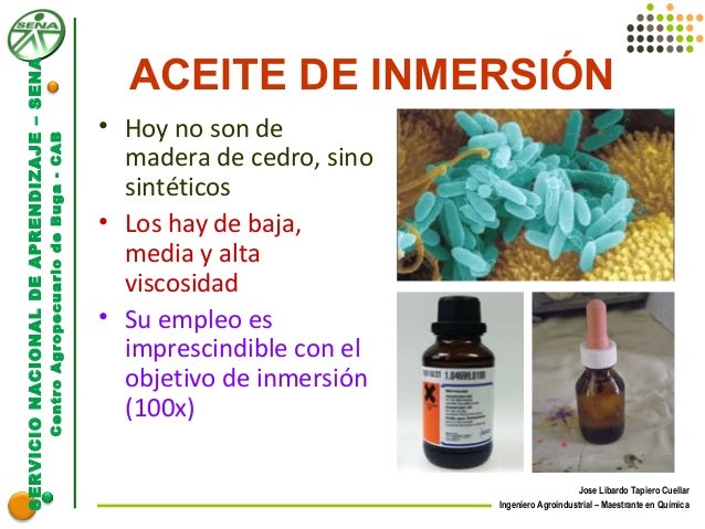 Las hierbas el aumento del pecho
