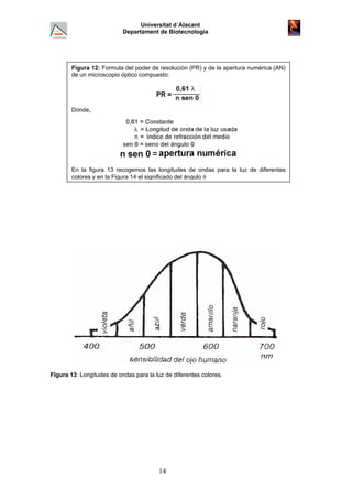 Universitat d´Alacant
Departament de Biotecnologia
Figura 12: Formula del poder de resolución (PR) y de la apertura numérica (AN)
de un microscopio óptico compuesto:
Donde,
En la figura 13 recogemos las longitudes de ondas para la luz de diferentes
colores y en la Figura 14 el significado del ángulo θ
FIgura 13: Longitudes de ondas para la luz de diferentes colores.
14
 