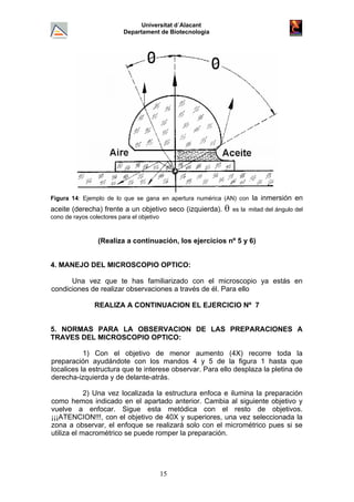Universitat d´Alacant
Departament de Biotecnologia
Figura 14: Ejemplo de lo que se gana en apertura numérica (AN) con la inmersión en
aceite (derecha) frente a un objetivo seco (izquierda). θ es la mitad del ángulo del
cono de rayos colectores para el objetivo
(Realiza a continuación, los ejercicios nº 5 y 6)
4. MANEJO DEL MICROSCOPIO OPTICO:
Una vez que te has familiarizado con el microscopio ya estás en
condiciones de realizar observaciones a través de él. Para ello
REALIZA A CONTINUACION EL EJERCICIO Nº 7
5. NORMAS PARA LA OBSERVACION DE LAS PREPARACIONES A
TRAVES DEL MICROSCOPIO OPTICO:
1) Con el objetivo de menor aumento (4X) recorre toda la
preparación ayudándote con los mandos 4 y 5 de la figura 1 hasta que
localices la estructura que te interese observar. Para ello desplaza la pletina de
derecha-izquierda y de delante-atrás.
2) Una vez localizada la estructura enfoca e ilumina la preparación
como hemos indicado en el apartado anterior. Cambia al siguiente objetivo y
vuelve a enfocar. Sigue esta metódica con el resto de objetivos.
¡¡¡ATENCION!!!, con el objetivo de 40X y superiores, una vez seleccionada la
zona a observar, el enfoque se realizará solo con el micrométrico pues si se
utiliza el macrométrico se puede romper la preparación.
15
 