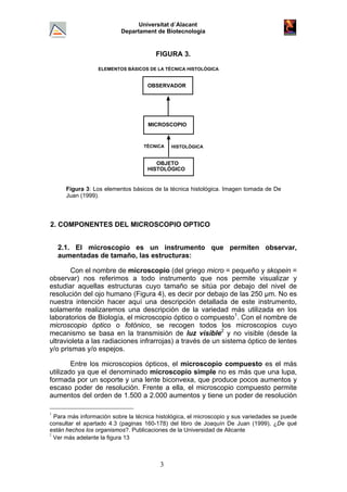 Universitat d´Alacant
Departament de Biotecnologia
FIGURA 3.
MICROSCOPIO
OBSERVADOR
ELEMENTOS BÁSICOS DE LA TÉCNICA HISTOLÓGICA
OBJETO
HISTOLÓGICO
TÉCNICA HISTOLÓGICA
Figura 3: Los elementos básicos de la técnica histológica. Imagen tomada de De
Juan (1999).
2. COMPONENTES DEL MICROSCOPIO OPTICO
2.1. El microscopio es un instrumento que permiten observar,
aumentadas de tamaño, las estructuras:
Con el nombre de microscopio (del griego micro = pequeño y skopein =
observar) nos referimos a todo instrumento que nos permite visualizar y
estudiar aquellas estructuras cuyo tamaño se sitúa por debajo del nivel de
resolución del ojo humano (Figura 4), es decir por debajo de las 250 µm. No es
nuestra intención hacer aquí una descripción detallada de este instrumento,
solamente realizaremos una descripción de la variedad más utilizada en los
laboratorios de Biología, el microscopio óptico o compuesto1
. Con el nombre de
microscopio óptico o fotónico, se recogen todos los microscopios cuyo
mecanismo se basa en la transmisión de luz visible2
y no visible (desde la
ultravioleta a las radiaciones infrarrojas) a través de un sistema óptico de lentes
y/o prismas y/o espejos.
Entre los microscopios ópticos, el microscopio compuesto es el más
utilizado ya que el denominado microscopio simple no es más que una lupa,
formada por un soporte y una lente biconvexa, que produce pocos aumentos y
escaso poder de resolución. Frente a ella, el microscopio compuesto permite
aumentos del orden de 1.500 a 2.000 aumentos y tiene un poder de resolución
1
Para más información sobre la técnica histológica, el microscopio y sus variedades se puede
consultar el apartado 4.3 (paginas 160-178) del libro de Joaquín De Juan (1999), ¿De qué
están hechos los organismos?. Publicaciones de la Universidad de Alicante
2
Ver más adelante la figura 13
3
 