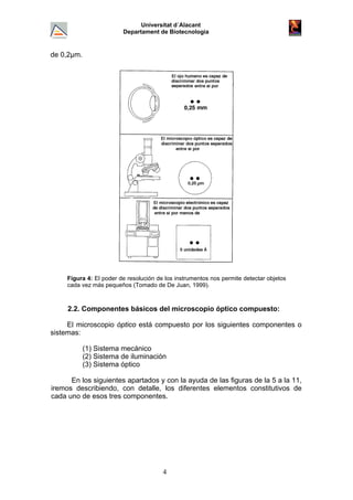Universitat d´Alacant
Departament de Biotecnologia
de 0,2µm.
Figura 4: El poder de resolución de los instrumentos nos permite detectar objetos
cada vez más pequeños (Tomado de De Juan, 1999).
2.2. Componentes básicos del microscopio óptico compuesto:
El microscopio óptico está compuesto por los siguientes componentes o
sistemas:
(1) Sistema mecánico
(2) Sistema de iluminación
(3) Sistema óptico
En los siguientes apartados y con la ayuda de las figuras de la 5 a la 11,
iremos describiendo, con detalle, los diferentes elementos constitutivos de
cada uno de esos tres componentes.
4
 