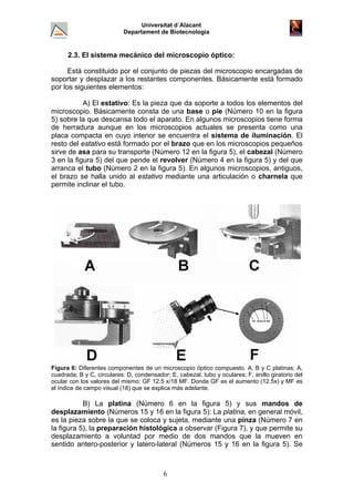 Universitat d´Alacant
Departament de Biotecnologia
2.3. El sistema mecánico del microscopio óptico:
Está constituido por el conjunto de piezas del microscopio encargadas de
soportar y desplazar a los restantes componentes. Básicamente está formado
por los siguientes elementos:
A) El estativo: Es la pieza que da soporte a todos los elementos del
microscopio. Básicamente consta de una base o pie (Número 10 en la figura
5) sobre la que descansa todo el aparato. En algunos microscopios tiene forma
de herradura aunque en los microscopios actuales se presenta como una
placa compacta en cuyo interior se encuentra el sistema de iluminación. El
resto del estativo está formado por el brazo que en los microscopios pequeños
sirve de asa para su transporte (Número 12 en la figura 5), el cabezal (Número
3 en la figura 5) del que pende el revolver (Número 4 en la figura 5) y del que
arranca el tubo (Número 2 en la figura 5). En algunos microscopios, antiguos,
el brazo se halla unido al estativo mediante una articulación o charnela que
permite inclinar el tubo.
Figura 6: Diferentes componentes de un microscopio óptico compuesto. A, B y C platinas: A,
cuadrada; B y C, circulares: D, condensador; E, cabezal, tubo y oculares; F, anillo giratorio del
ocular con los valores del mismo: GF 12.5 x/18 MF. Donde GF es el aumento (12.5x) y MF es
el índice de campo visual (18) que se explica más adelante.
B) La platina (Número 6 en la figura 5) y sus mandos de
desplazamiento (Números 15 y 16 en la figura 5): La platina, en general móvil,
es la pieza sobre la que se coloca y sujeta, mediante una pinza (Número 7 en
la figura 5), la preparación histológica a observar (Figura 7), y que permite su
desplazamiento a voluntad por medio de dos mandos que la mueven en
sentido antero-posterior y latero-lateral (Números 15 y 16 en la figura 5). Se
6
 