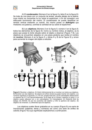 Universitat d´Alacant
Departament de Biotecnologia
A) El condensador (Número 8 en la figura 5 y letra D en la figura 6):
Se trata de una pieza con un conjunto de lentes, situada debajo de la platina,
cuya misión es concentrar la luz sobre el espécimen, a fin de conseguir una
adecuada iluminación del mismo. El condensador se puede desplazar en
sentido vertical mediante un mando. Así mismo posee un diafragma que
mediante una palanca, controla la cantidad de luz sobre el espécimen.
B) Los objetivos (Número 5 en la figura 5; número 4 en la figura 8;
todos los elementos de la figura 9): Como su nombre indica, el objetivo, es la
pieza que posee la lente situada sobre el objeto a observar (Figura 7 B). Los
objetivos se encuentran alojados en una pieza giratoria que recibe el nombre
de revolver (Número 4 en la figura 5; y letras A y B de la Figura 9) y sirven
para aumentar la imagen del objeto a estudiar.
6
4
Figura 9: Revolver y objetivos. A) Visión tridimensional de un revolver con todos sus objetivos.
B) Revolver con dos objetivos. Se observa el orificio donde se puede insertar otro objetivo. Los
números significan lo siguiente: (1) 170 mm, longitud del tubo; (2) El cubreobjetos deberá tener
un espesor de 0,17 mm aproximadamente. Si en lugar de un número, aparece un guión (-), el
objetivo puede utilizarse con o sin cubreobjetos; (3) Cubreobjetos; (4) Distancia libre de
trabajo; (5) 45/0,65; 45 son los aumentos del objetivo y 0.65, la apertura del objetivo. (6)
Objetivo de inmersión. C) diferentes tipos de objetivos.
Los objetivos suelen llevar grabados en su cuerpo (Figura 9) una serie de
inscripciones (palabras, letras y números) así como una serie de anillos de
colores (Figura 10) cuyo significado explicaremos a continuación.
9
 