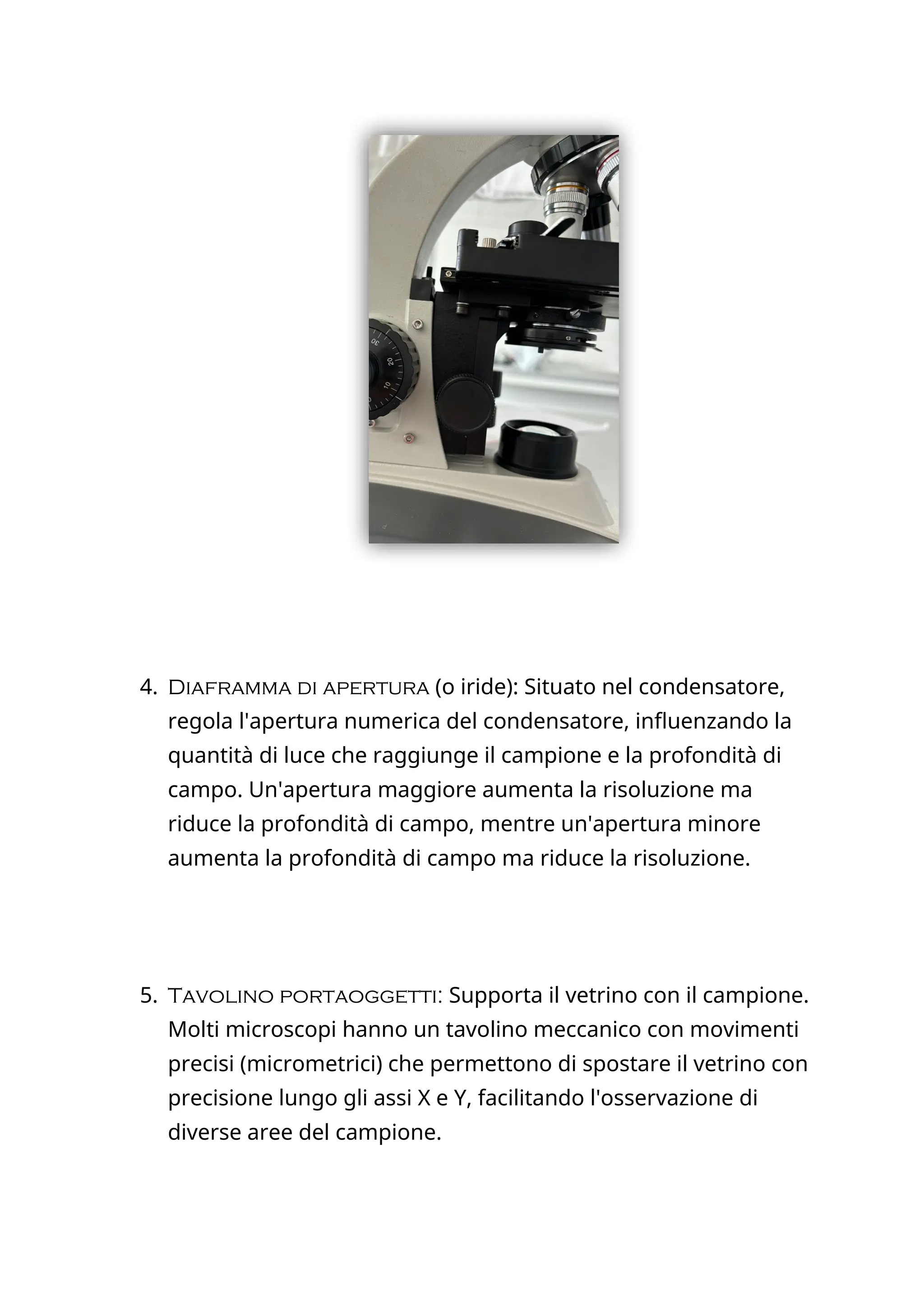 relazione sul funzionamento del microscopio ottico | PDF