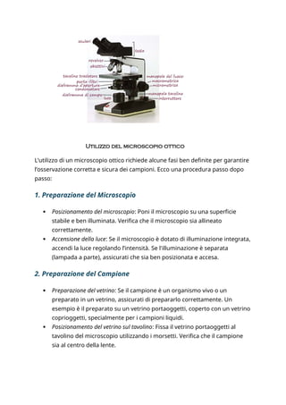 relazione sul funzionamento del microscopio ottico | PDF