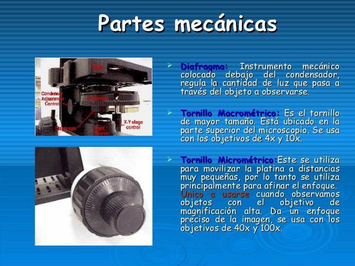 Microscopio