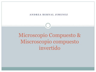 Andrea Bernal Jimenez Microscopio Compuesto & Miscroscopiocompuestoinvertido 
