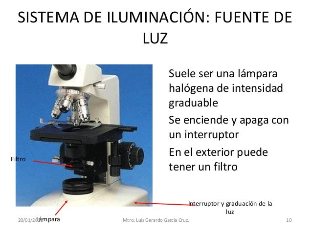 Microscopio cunorte