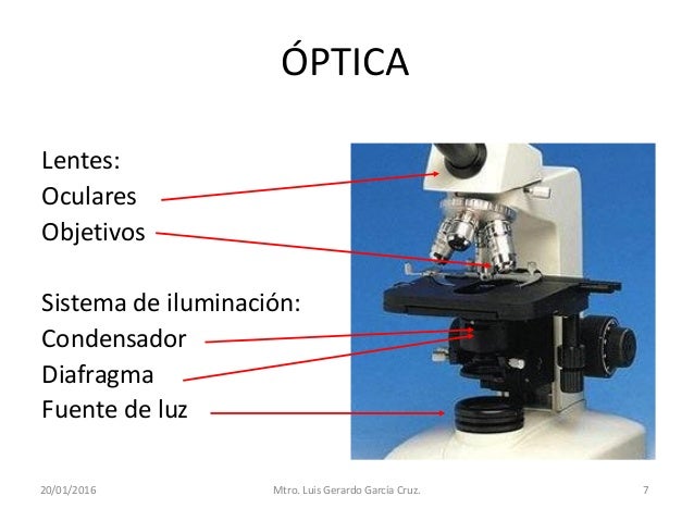 Sistema De Iluminacion Del Microscopio Optico www.slideshare.net