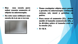  Has una escala para
saber cuanto aumenta el
objeto tu microscopio.
 En este caso utilizare una
escala de 0.5 cm x 0.5 cm
 Toma cualquier objeto para poner
a prueba tu microscopio. Utilizare
azúcar, sal, maní y gelatina en
polvo.
 Para sacar el aumento (X), debes
medir el tamaño aumentado (B), y
lo divides sobre el tamaño real en
la escala (A).
 X= B/A
 