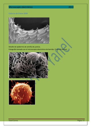 Microscopio electrónico

2013

Galeria de Fotos SEM

Detalle de epidermis de semilla de justicia.
Fotografia tomada con el microscopio electrónico de barrido. (1cm=10 micras)

Yanel Correa

Página 15

 