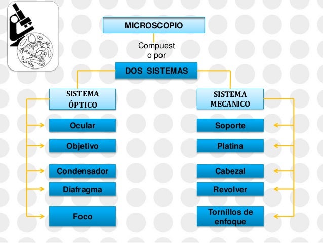 Microscopio