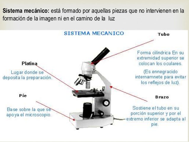 Sistema De Iluminacion Del Microscopio Optico www.slideshare.net