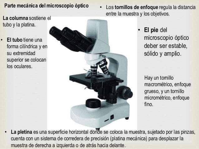 Microscopio optico
