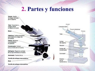 2. Partes y funciones
 
