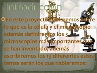 En este proyecto hablaremos sobre
 lo que es la célula y el microscopio
 además definiremos los 3
 microscopios más importantes que
 se han inventado, además
 escribiremos los 19 diferentes estos
 temas serán los que hablaremos:
 