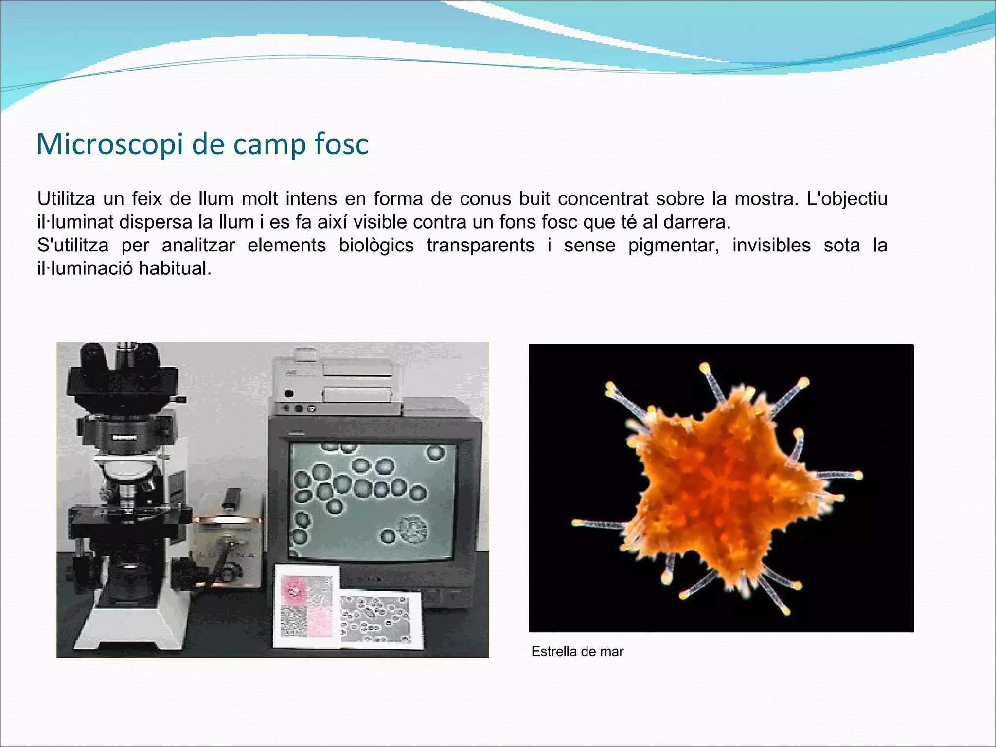 Microscopi de camp fosc Utilitza un feix de llum molt intens en forma de conus buit concentrat sobre la mostra. L'objectiu il·luminat dispersa la llum i es fa així visible contra un fons fosc que té al darrera.  S'utilitza per analitzar elements biològics transparents i sense pigmentar, invisibles sota la il·luminació habitual. Estrella de mar 