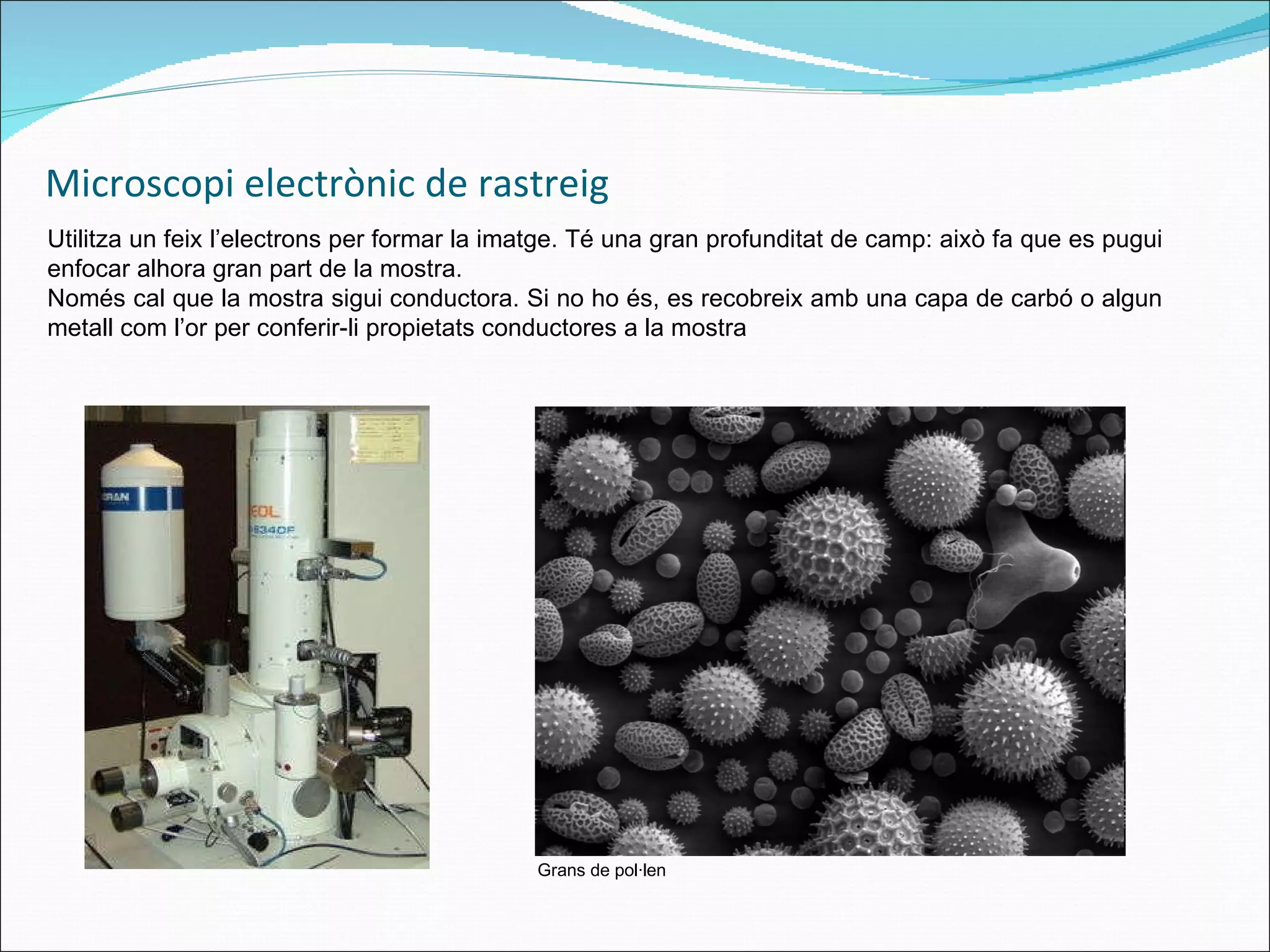 Microscopi electrònic de rastreig  Utilitza un feix l’electrons per formar la imatge. Té una gran profunditat de camp: això fa que es pugui enfocar alhora gran part de la mostra.  Només cal que la mostra sigui conductora. Si no ho és, es recobreix amb una capa de carbó o algun metall com l’or per conferir-li propietats conductores a la mostra Grans de pol·len 