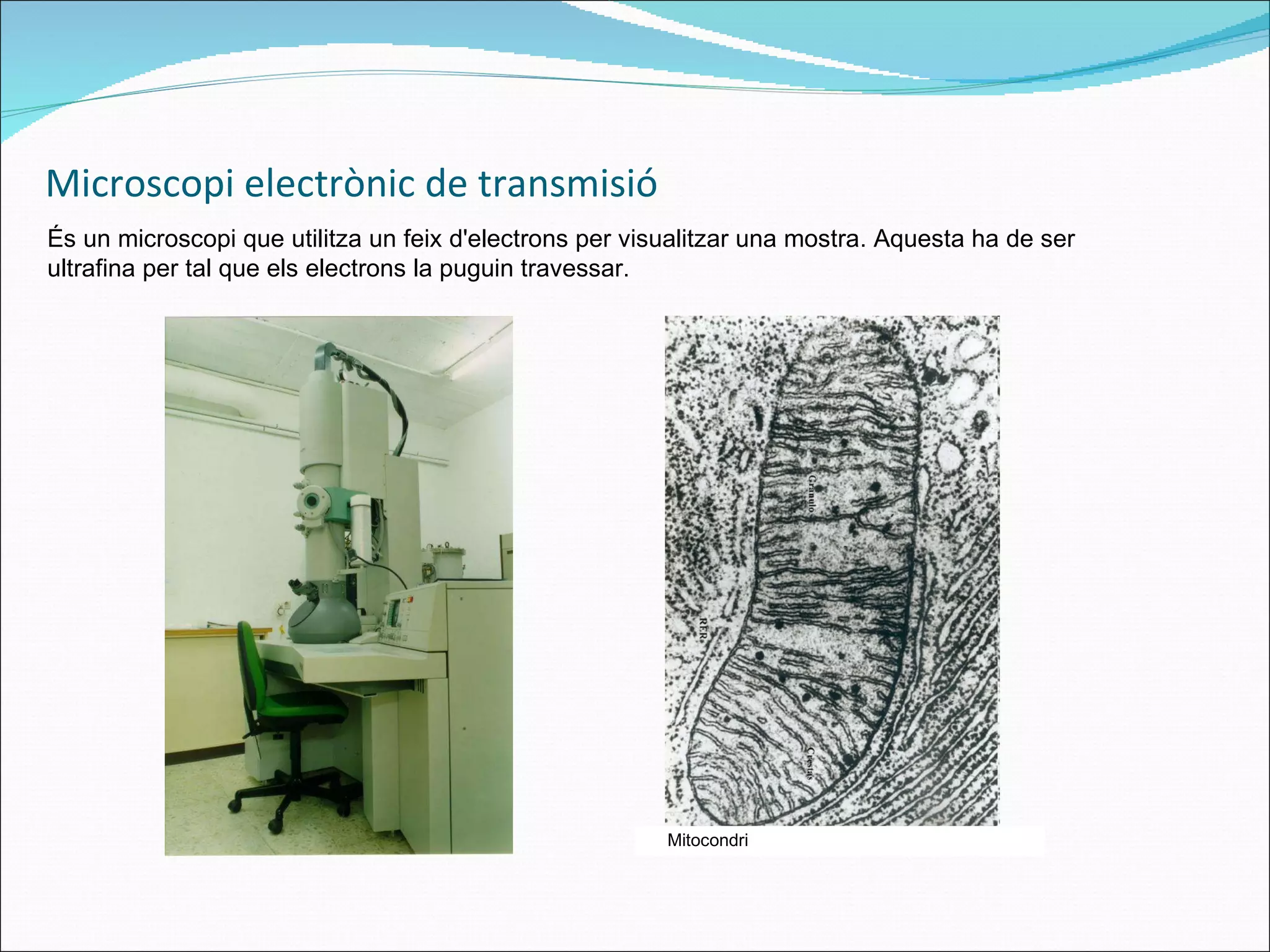 Microscopi electrònic de transmisió És un microscopi que utilitza un feix d'electrons per visualitzar una mostra.  Aquesta ha de ser ultrafina per tal que els electrons la puguin travessar. Mitocondri 