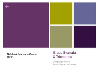 +




Natalia A. Manzano Garcia
                            Grass Stomata
RISE                        & Trichomes
                            Using Bright-Field &
                            Phase Contract Microscopy
 