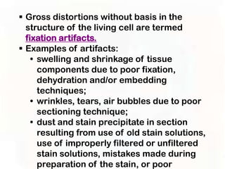  Gross distortions without basis in the
  structure of the living cell are termed
  fixation artifacts.
 Examples of artifacts:
    • swelling and shrinkage of tissue
      components due to poor fixation,
      dehydration and/or embedding
      techniques;
    • wrinkles, tears, air bubbles due to poor
      sectioning technique;
    • dust and stain precipitate in section
      resulting from use of old stain solutions,
      use of improperly filtered or unfiltered
      stain solutions, mistakes made during
      preparation of the stain, or poor
 