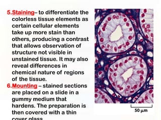 5.Staining– to differentiate the
  colorless tissue elements as
  certain cellular elements
  take up more stain than
  others, producing a contrast
  that allows observation of
  structure not visible in
  unstained tissue. It may also
  reveal differences in
  chemical nature of regions
  of the tissue.
6.Mounting – stained sections
  are placed on a slide in a
  gummy medium that
  hardens. The preparation is
  then covered with a thin
 