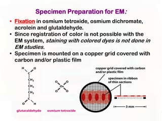 Specimen Preparation for EM:
• Fixation in osmium tetroxide, osmium dichromate,
  acrolein and glutaldehyde.
• Since registration of color is not possible with the
  EM system, staining with colored dyes is not done in
  EM studies.
• Specimen is mounted on a copper grid covered with
  carbon and/or plastic film
 