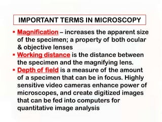 IMPORTANT TERMS IN MICROSCOPY
 Magnification – increases the apparent size
  of the specimen; a property of both ocular
  & objective lenses
 Working distance is the distance between
  the specimen and the magnifying lens.
 Depth of field is a measure of the amount
  of a specimen that can be in focus. Highly
  sensitive video cameras enhance power of
  microscopes, and create digitized images
  that can be fed into computers for
  quantitative image analysis
 