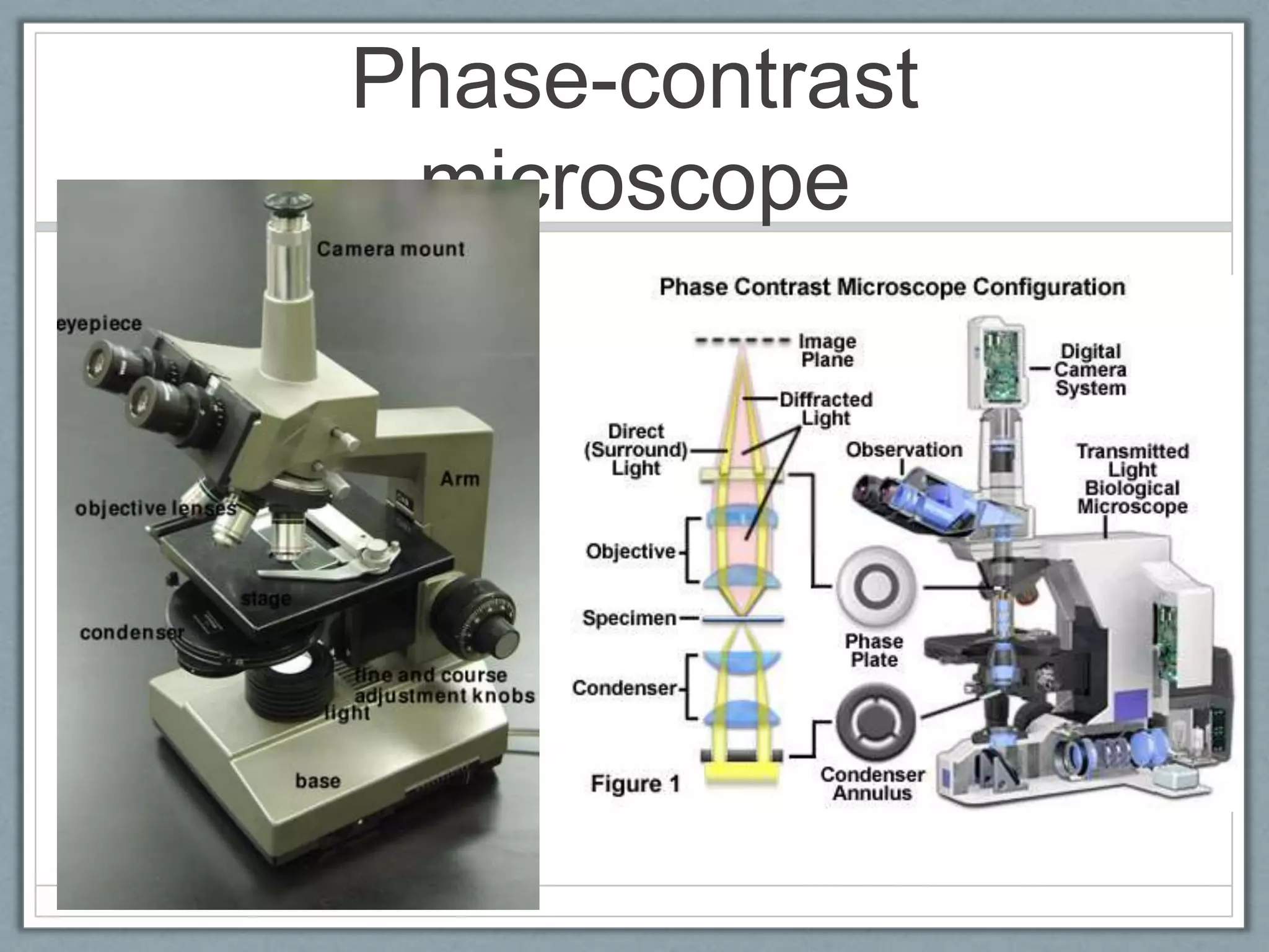 Phase-contrast
microscope

 