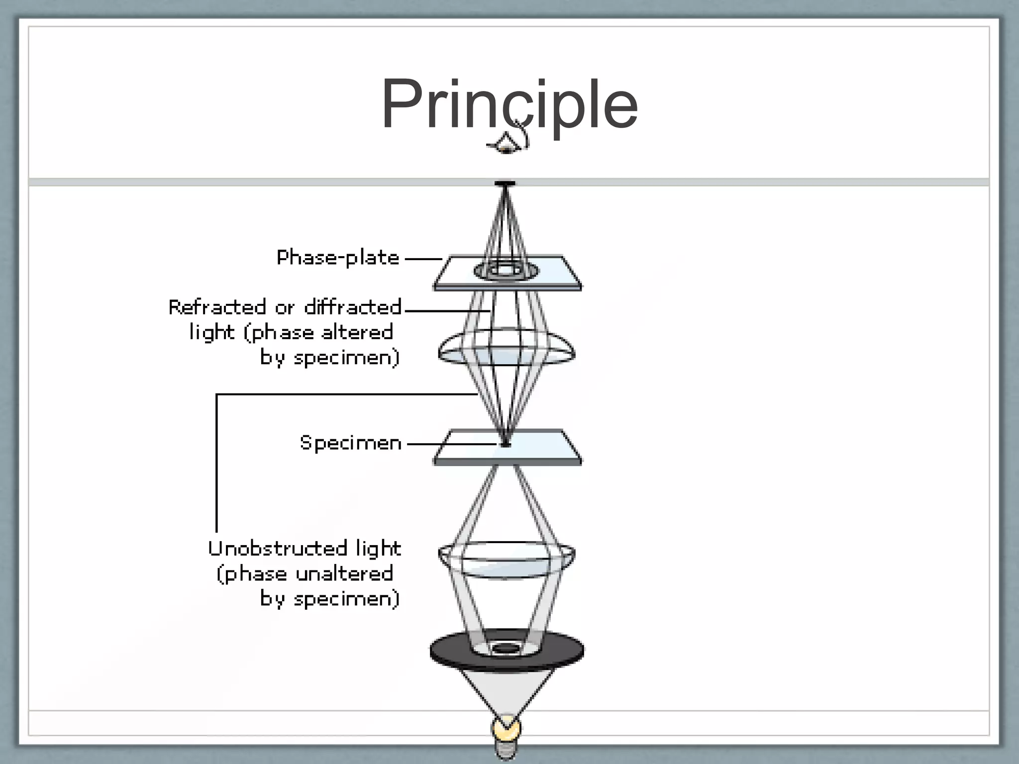 Principle

 